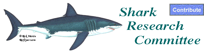 Pacific Coast Shark News
